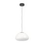 Eglo BALMES 390201 Visilica 1x40W/E27 IP20