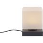 Paul Neuhaus DADOA 4036-13 Stolna svjetiljka 1x7W/LED 3000k 580lm ip20