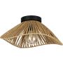 Eglo LAVISTER 44071 Stropna svjetiljka 1x60w/e27 ip20