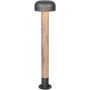 Trio FRASER 462560135 Stojeca svjetiljka 1x10w/e27 ip54