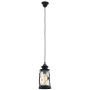 Eglo BRADFORD 49213 Visilica 1x60W/E27