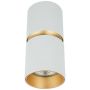 Zambelis CEILING SPOT S161 Natkriveno downlight svjetlo 1x40w/GU10 IP20