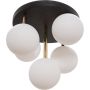 Zuma Line ALI 5645 Plafonjera 5x40W/G9 IP20