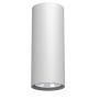 Antigo Point 1251 Natkriveno downlight svjetlo 1x10W/GU10 IP20