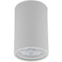 TK Lighting TOP 5766 Natkriveno downlight svjetlo 1x10W/GU10 IP20