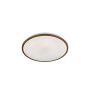 Fischer&Honsel Jaso 20887 Plafonjera 1x22W/LED 3000K 2700 lm IP20