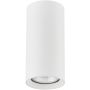Alfa ARTEMIS 59022 Natkriveno downlight svjetlo 1x10W/GU10