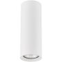 Alfa ARTEMIS 59024 Natkriveno downlight svjetlo 1x10W/GU10