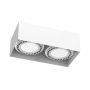 Antigo Cage 1270 Natkriveno downlight svjetlo 2x15W/Gu10 IP20
