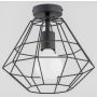 Alfa OZINUS 60601 Plafonjera 1x60W/E27