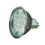 Garden Lights LED BULB 6022101 Žarulja 3W 6500K 200LM