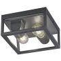 Trio GARONNE 601860242 Stropna svjetiljka 2x10w/e27 ip44