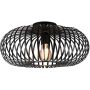 Trio JOHANN 606900132 Stropna svjetiljka 1x60w/e27 ip20