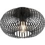 Trio JOHANN 606903032 Stropna svjetiljka 1x60w/e27 ip20