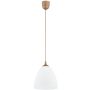 Alfa LERA 61465 Visilica 1x15W/E27