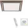 Paul Neuhaus PALMA 6141-79 Stropna svjetiljka 2x50W/LED 2700-5000k 5100lm ip20