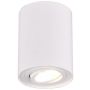 Trio COOKIE 612900131 Natkriveno downlight svjetlo 1x35w/gu10 ip20