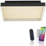 Paul Neuhaus Q-MAGONG 6316-18 Stropna svjetiljka 1x40W/LED 2700-5000k 5700lm ip20