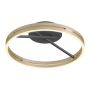 Paul Neuhaus PURE LOOP 6552-68 Stropna svjetiljka 2x42W/LED 2700K-5000K 2700lm IP20