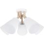 TK Lighting VAIO 666 Stropna svjetiljka 5x60W/E27