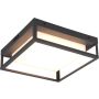 Trio WITHAM 677860142 Stropna svjetiljka 1x14w/led 2300+3000+4000k 1550lm ip54
