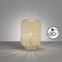 Fischer&Honsel Nature 50738 Stolna svjetiljka 1x25W/E14 IP20