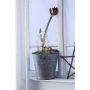 Markslojd GARDENER 703775 Ukras za postavljanje 1x0,32W/LED