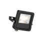 Endon SURGE 78962 Zidna svjetiljka 10W/LED 4000K 800LM IP65