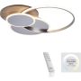 Paul Neuhaus PALMA 8328-79 Stropna svjetiljka 1x55W/LED 2700-5000k 6000lm ip20