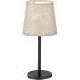 Fischer&Honsel Eve 850224 Stolna svjetiljka 1x25w/e14 ip20