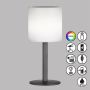 Fischer&Honsel Lesina 850325 Stolna svjetiljka 2x0.5W/LED RGBW 40lm IP44