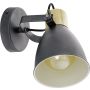 Eglo COSWARTH 901174 Reflektor 1x25w/e27 ip20