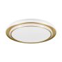 Eglo MOSCHETTA 902045 Plafonjera 36W/LED 2700K, 4000K, 6500K 4800lm ip20