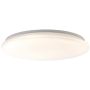 Brilliant FARICA G97140/05 Plafonjera 1x36W/LED 4500LM IP20