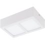 Eglo COLEGIO 95201 Plafonjera 2x4,2W/LED 1100LM