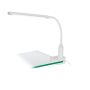 Eglo LAROA 96434 Radna svjetiljka s kopčom 1x4,5W/LED 550LM