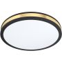 Eglo PESCAITO 99407 Plafonjera 1x24W/LED 3000K 2400LM IP20