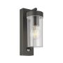 Endon HAYDEN PIR 99756 Zidna svjetiljka 15W/E27 IP44