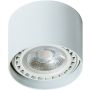 AZzardo ECO ALIX SMART WIFI AZ3770 Natkriveno downlight svjetlo 1x11W/GU10/ES111 2700K-6500K 880LM IP20