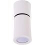AZzardo LINO SMART WIFI AZ3838 Reflektor 1x5W/GU10 2700K-6500K 340LM IP20