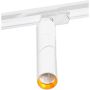AZzardo SANTOS TRACK AZ2925 Šinski reflektor 1x12W/LED 950LM