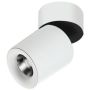 AZzardo SIENA AZ2211 Reflektor 1x10W/LED 880LM