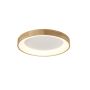 AZzardo SILVAM AZ2697 Plafonjera 1x30W/LED 1950LM