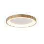 AZzardo SILVAM AZ2698 Plafonjera 1x50W/LED 3250LM