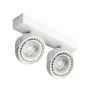 AZzardo JERRY AZ1371 Reflektor 2x50/40W/ES111/GU10 IP20
