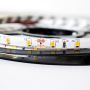 Milagro LED STRIP ML4752 LED traka 24W/500cm IP65