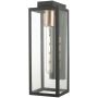 Dar Lighting NAXOS NAX1522 Zidna svjetiljka 1x60W/E27 IP43