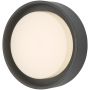 Dar Lighting RALPH RAL5239 Zidna svjetiljka 1x9W/LED 3000K 626LM IP65