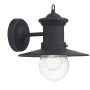Dar Lighting SEDGEWICK SED1522 Zidna svjetiljka 1x60W/E27 IP44