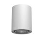 Antigo Point 1259 Natkriveno downlight svjetlo 1x10W/GU10 IP20